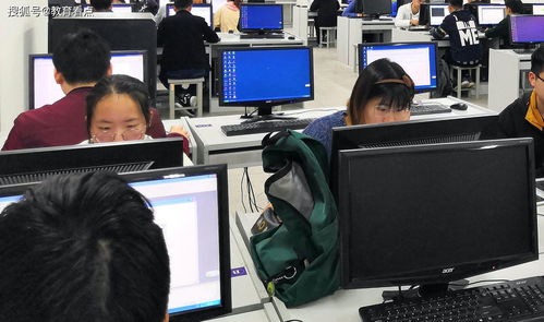 2021高考志愿填報 網絡與信息安全與軟件開發——最靠譜的專業選擇